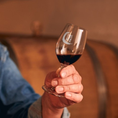 Chateau Wine Taster Glass - 215ml